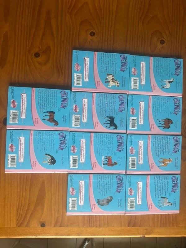 lot 10 boeken mijn vrienden de paarden roze bibliotheek – photo 2